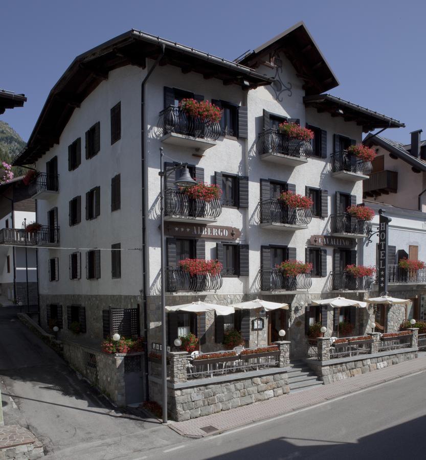 Il Cavallino - Albergo & Appartamenti Sappada Buitenkant foto